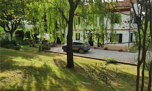 CASA COLONICA MORRO D'ALBA