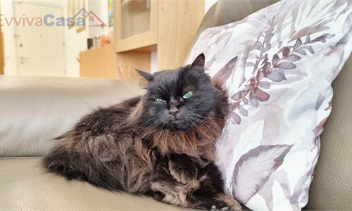 Marzocca – Appartamento Ristrutturato, a 300 m dal mare