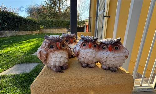 Piano terra con 100 mq di corte e ingresso indipendente